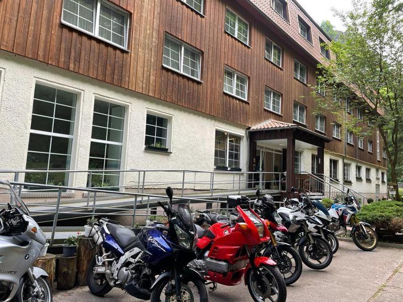 Waldhotel Harz อิลเซินบวร์ก ภายนอก รูปภาพ