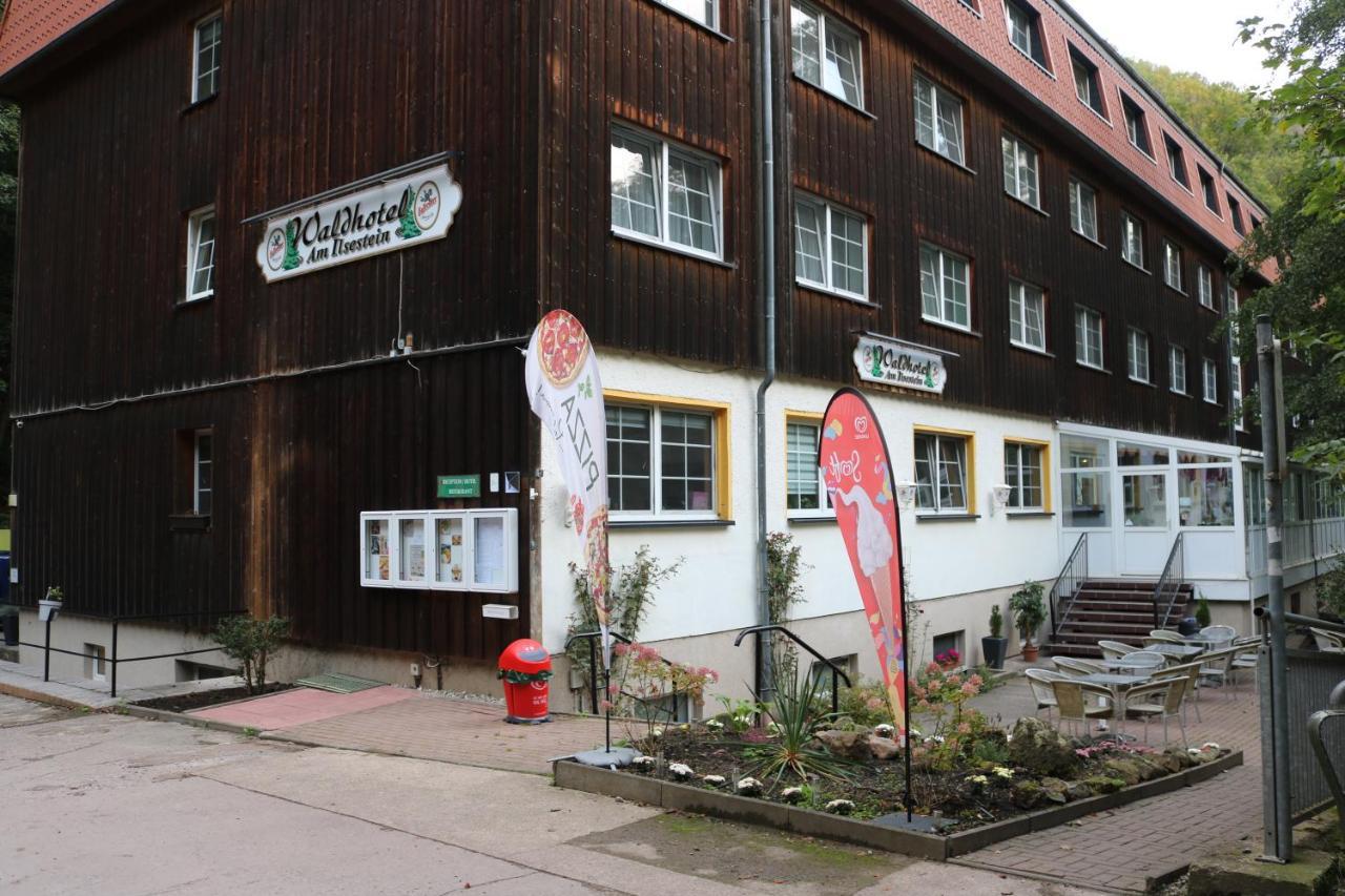 Waldhotel Harz อิลเซินบวร์ก ภายนอก รูปภาพ